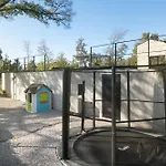 Ulmus Karojba